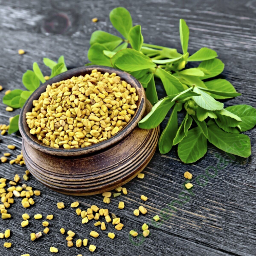 ����� ���������� ��� ���, ����� ������������ ��� ��������. ����������� ������������ ���, �������� �������� �� ��������, "�������" � "����������" ������.