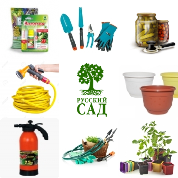 �������� ������ ��������, ���������, ������, �������� � ��� ��� ���� �� �������� ������� ��� 83. (�� 28.01).