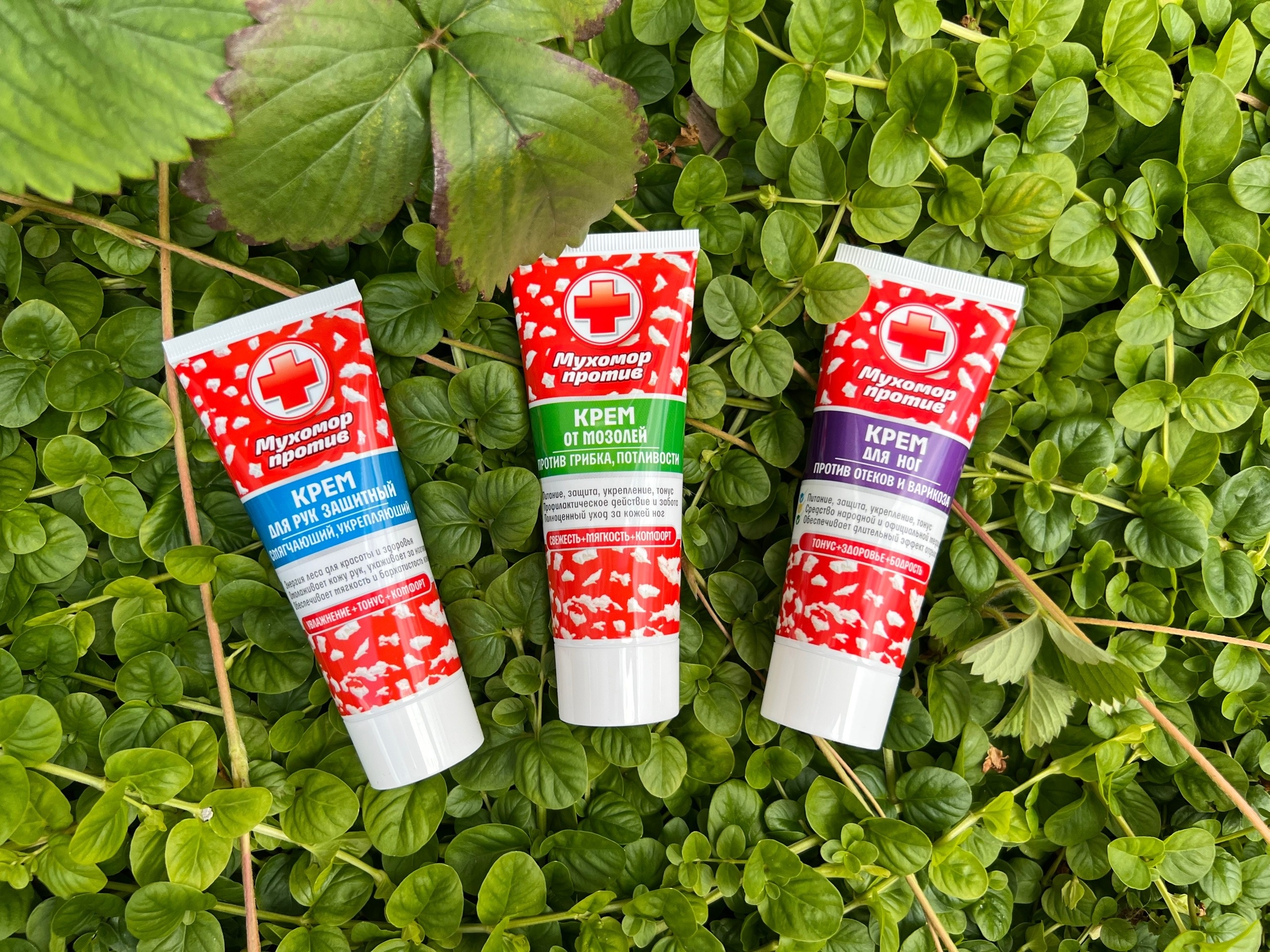 ������� �������!