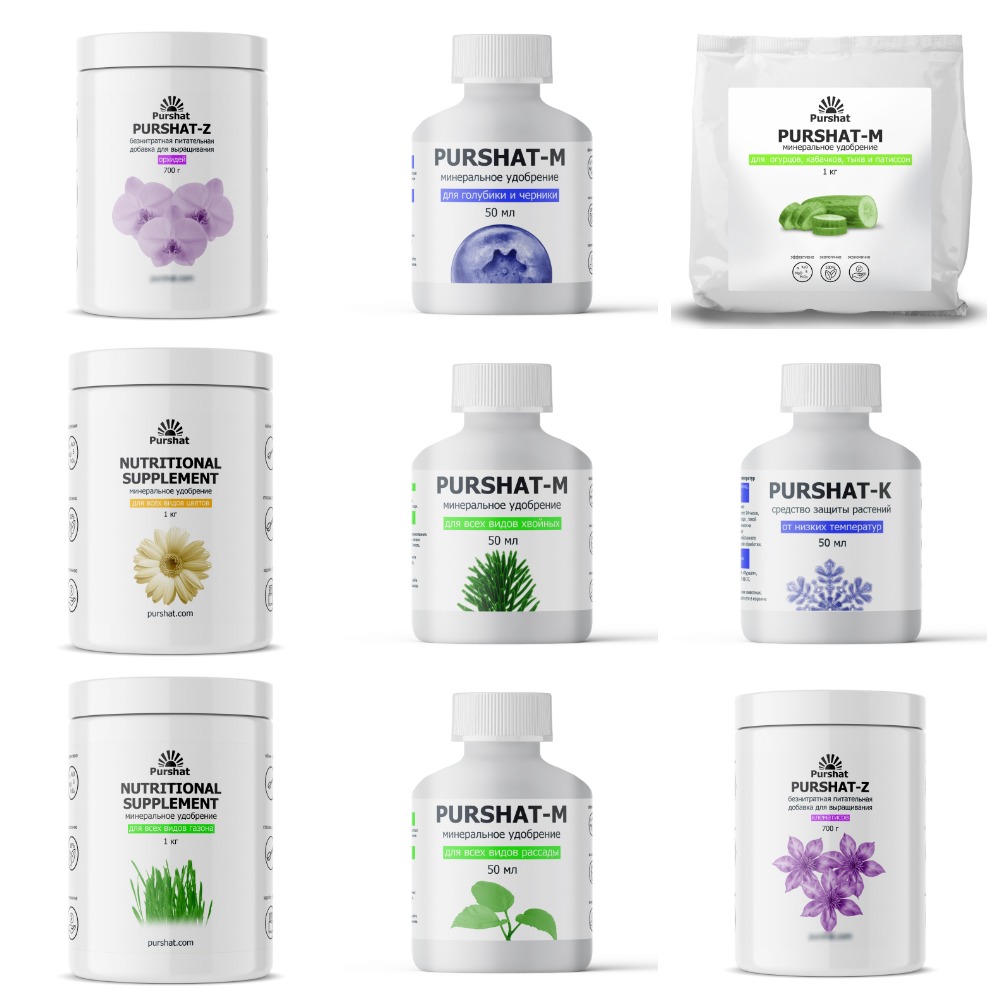 ���� �������. ����������� ������������� ��������� ������ �� 04.02.