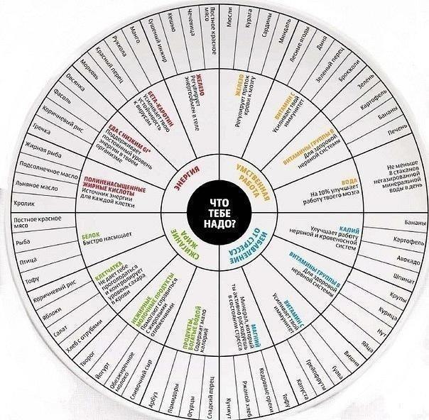 ��� ���� ����