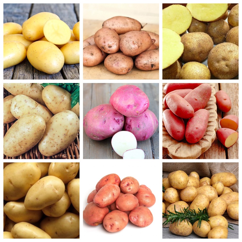 ���� �������. �������� ��������� 12. (�� 04.02).