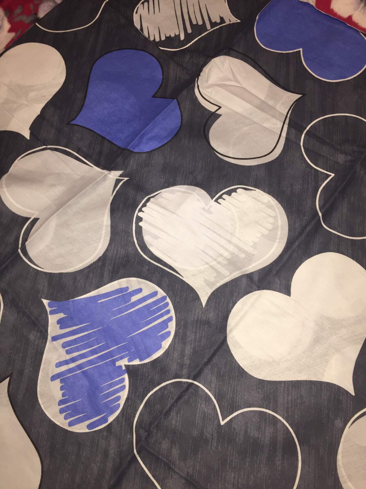 �������� �� ���� ������ ���� �������