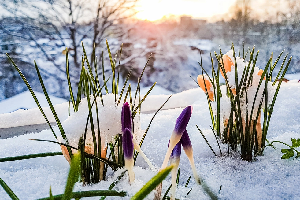 ����� �� 31 ������ - �������� ��������. ������ ������ � �����! 