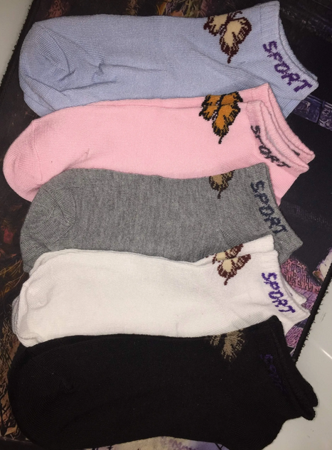 ����� ������ �������  �� 1 ���� ����� �������� ����� ����� ������� 31 ������ ������