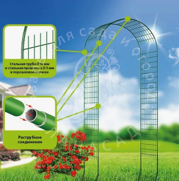 ���� ��� ������� ��� � ������ ��������! � �����, ��������������, �������, ����, ������������ ����������. �����-1/24.