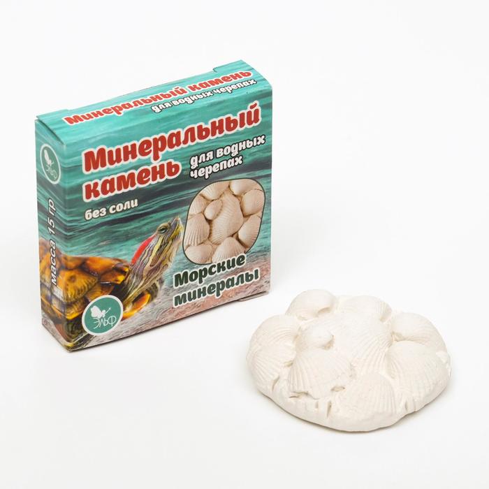 ������� ���� ��� ��������