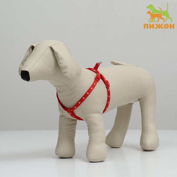 ������� ������ ��� �����