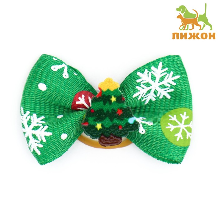 ������� ������ ��� �����: ����������