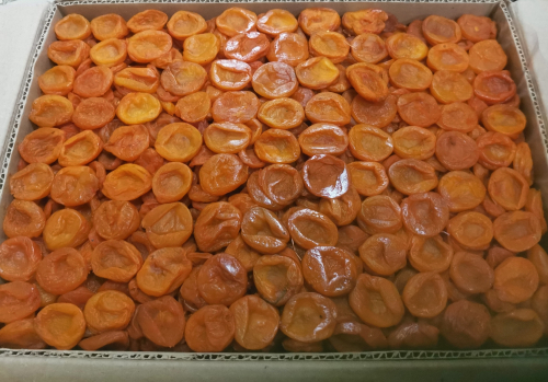 ����� 240��� �� ��! �������� ������ �� �������� ����!