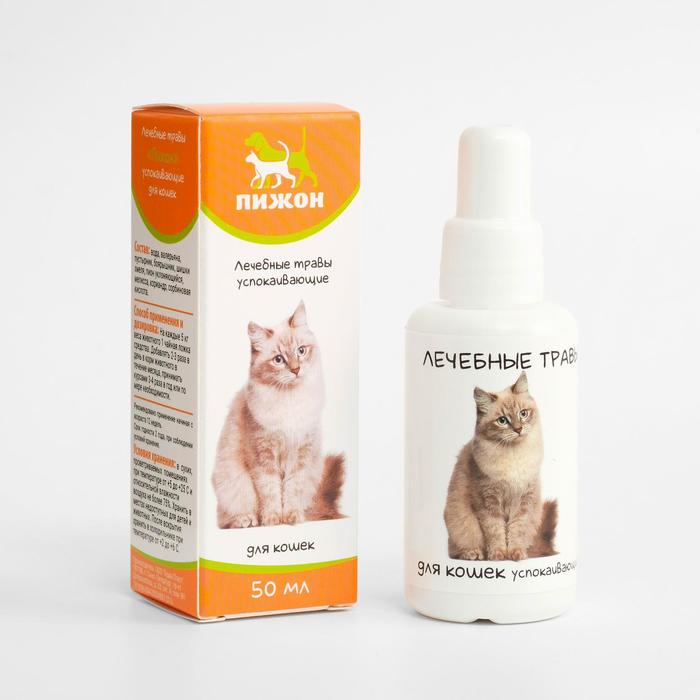 ������� ������ ��� ���������� �����