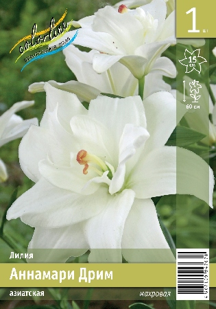 ���� �������. �����, ����������, ������� � ��������� ��������� ����� 2024. (������ �� ������� �� 1 �� 4 �������� ������� �����).