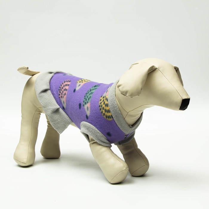 ������� ������ ��� �����