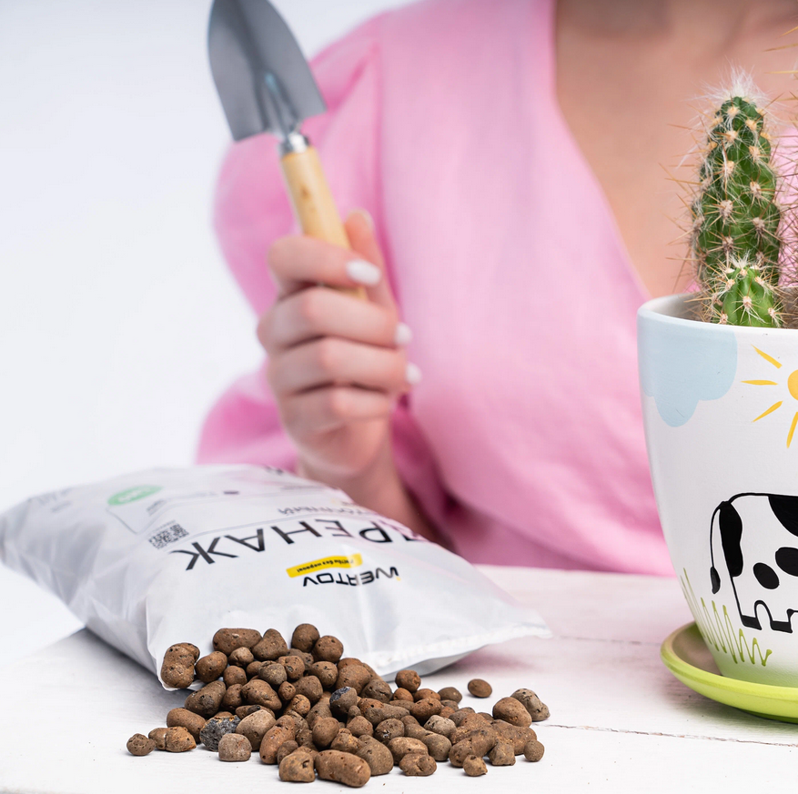 ��������� ������ ��������----------������� 18 �������