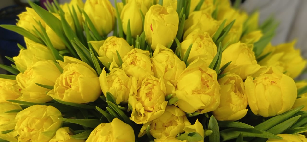 ���� �� 21.02. ���� �������� � 8 �����! ������� � ������ ������������ �����.������ ��������! 8��� �� ��