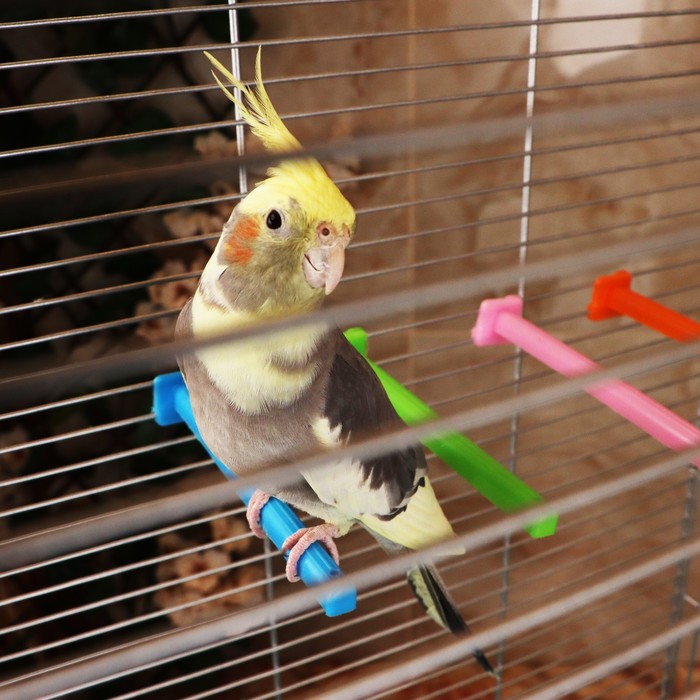 ������� ������ ��� ����: �������� � �������, ��������� ��������, ������ � ������, ֣������, �������, ������, �������, ������, �����, �������, ���������, ���������, ������ � ��������, �����������, �������� �� ����� �� �������