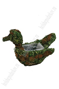 ����������!!!