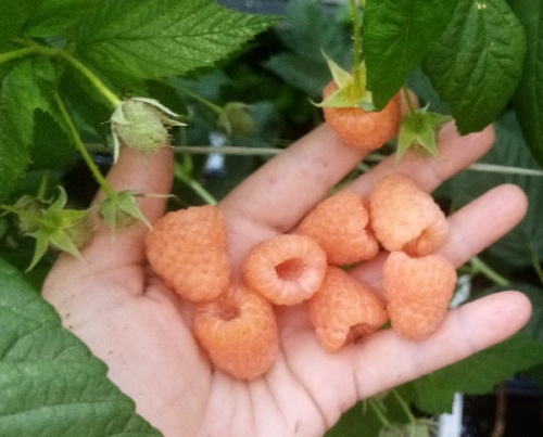 ����� ����� ���������� � ������������ ������!