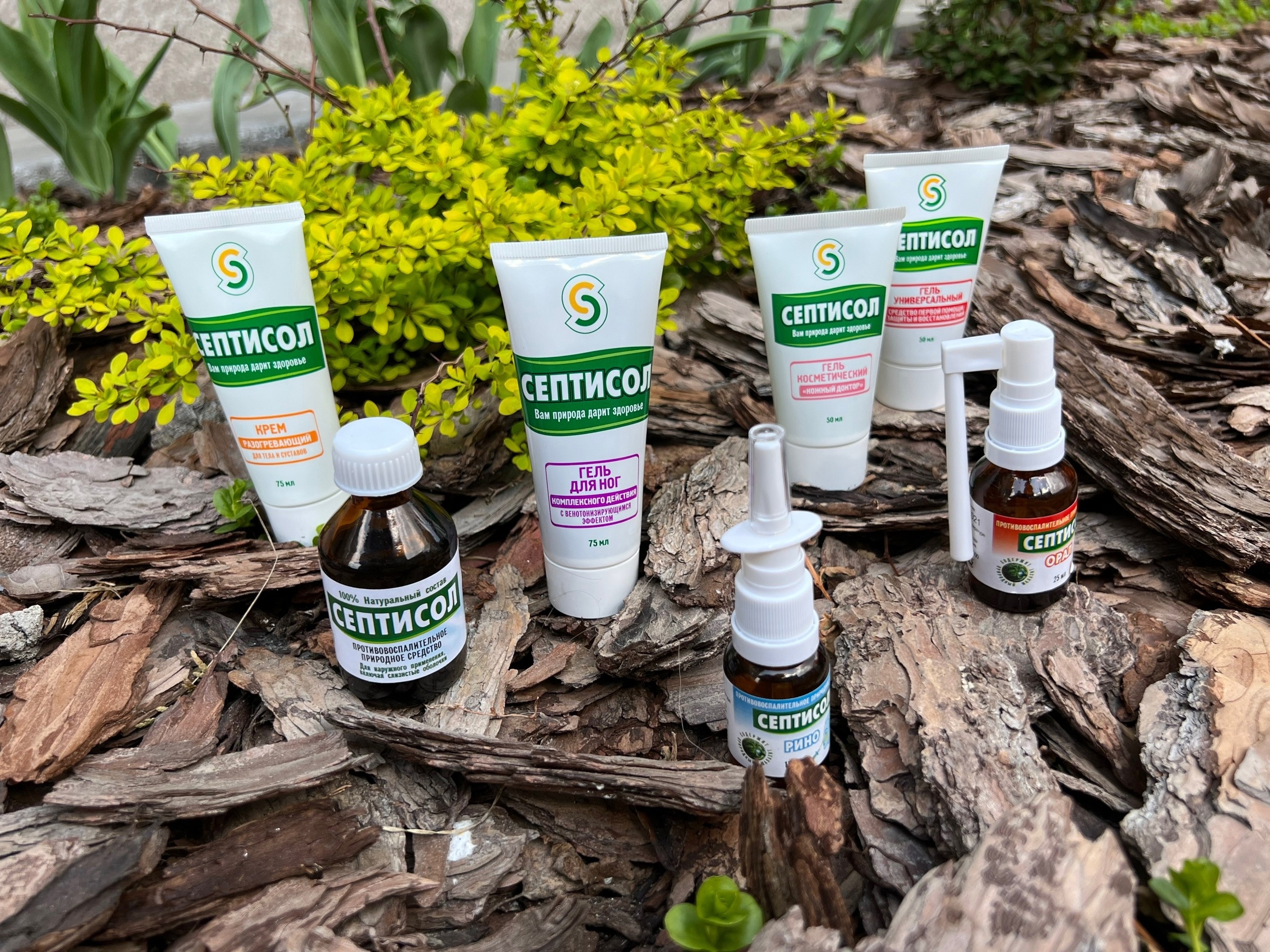 ������� �������!