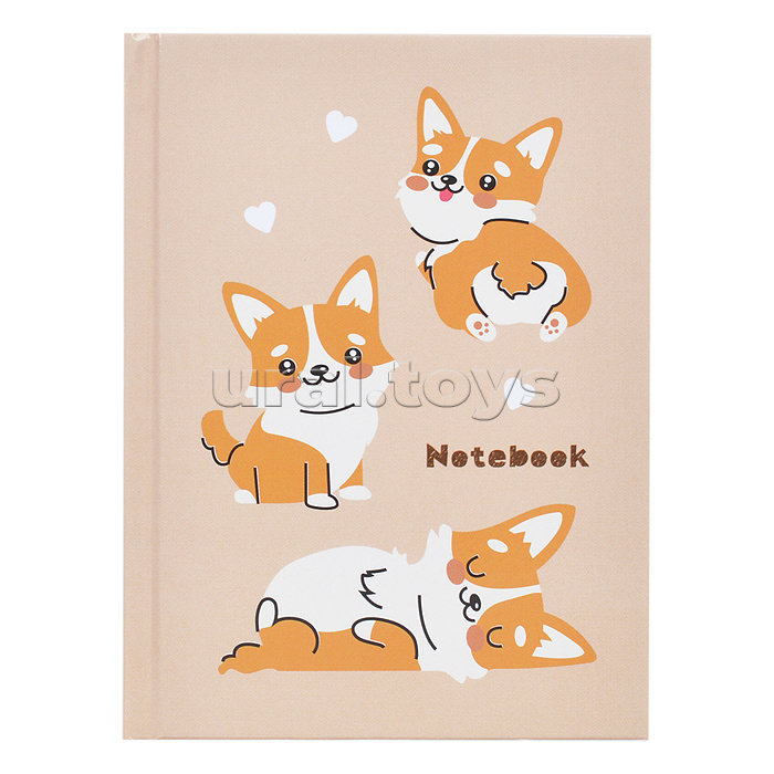 ������� ����� �ޣ��, ��������, ������, ��������