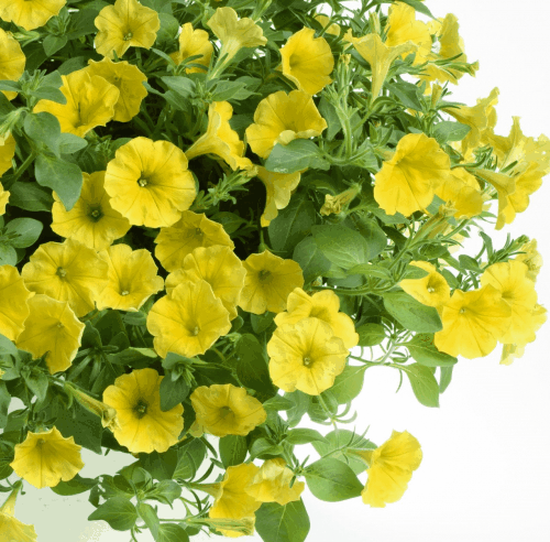 ������� ������. �������, ����������, ������, �������, ���������, �������, ������, ������, � ������ ����� 1-24