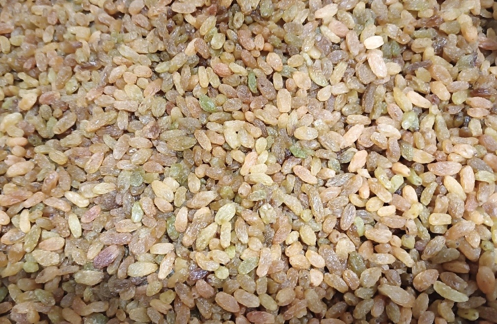 �����. ���� �� 320 ���.