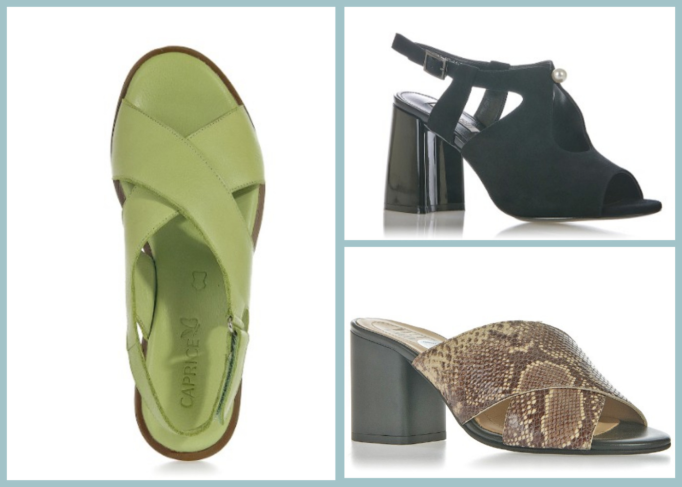 ����� ����� �� �����-�����!1170 � ������ 3900 �!����� �������� AIDINI PRIMO ���. �����! ;;2550 � ������ 3400 �!���� RALF RINGER;;CAPRICE �� ������ ����-��� �����������! 