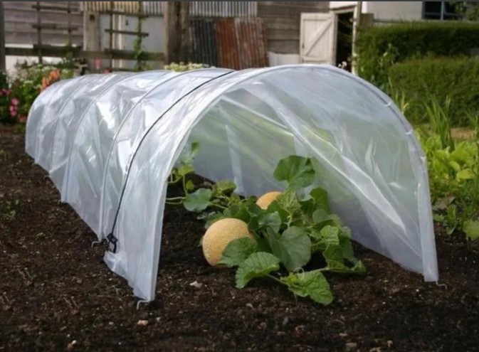 ���� ����������! � �����, ��������������, �������, ����, ������������ ����������. �����-2/24.