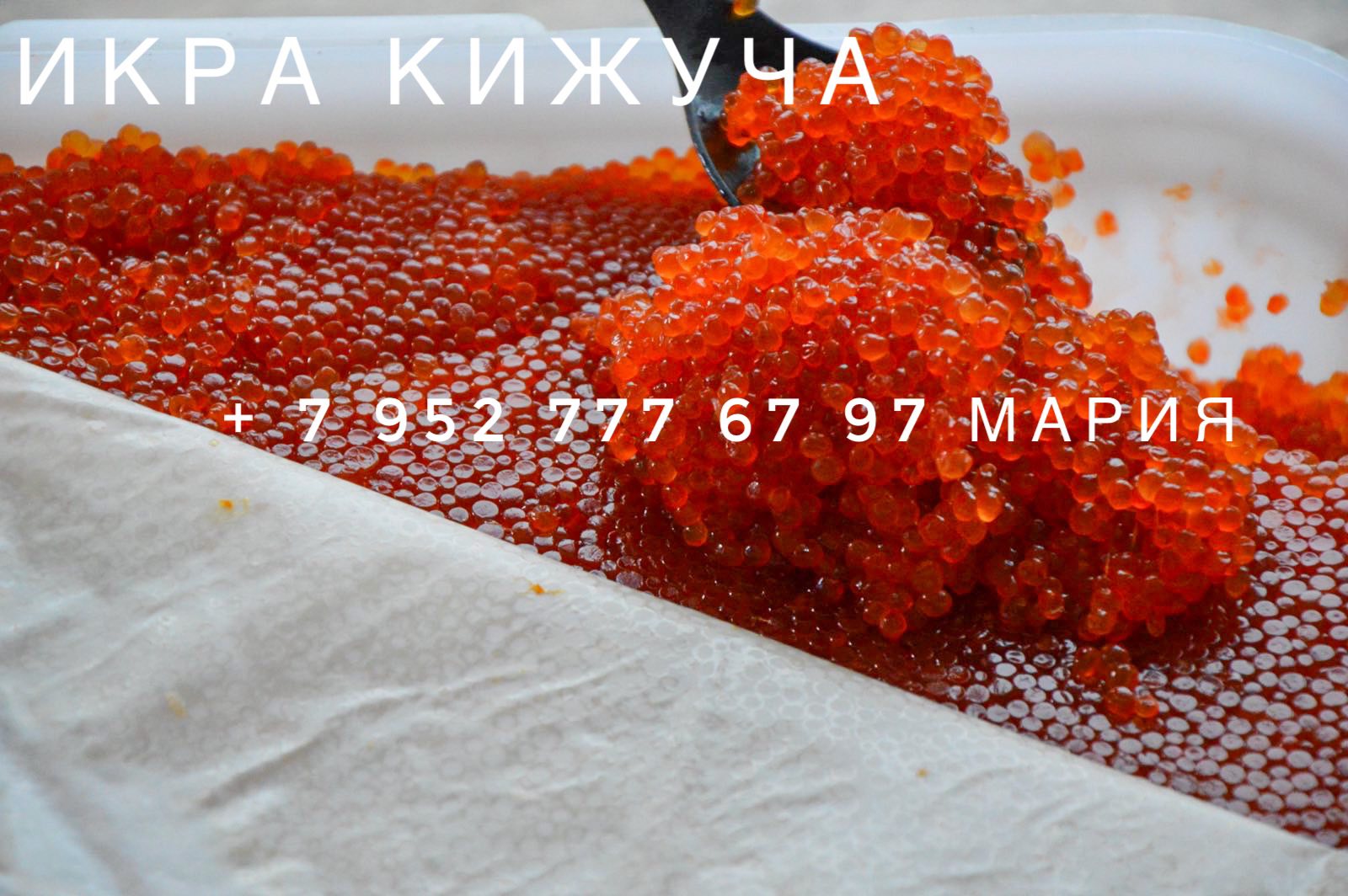 ���������� ������� ���� �������, ������, ������, ������. ���������� ������ ������ 