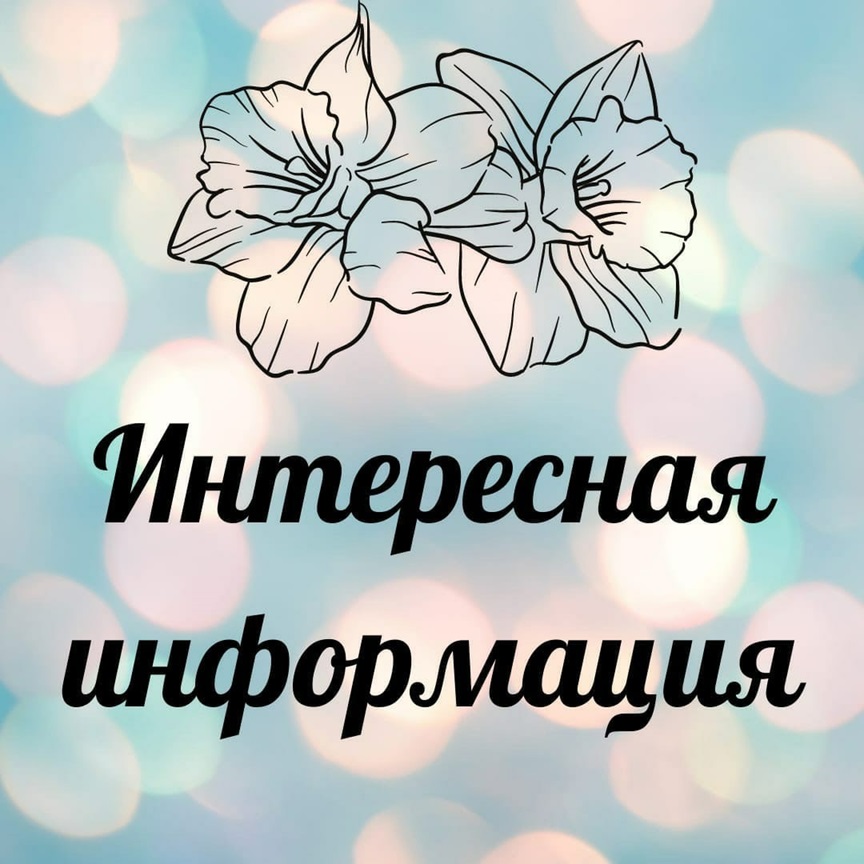 ��� ����� ��������� � �� ������� ��� �������?))) ��������� - ��� ��������� ��������� � ������������ ��� �������� �������. ��� ����, ����� ��� ��������, ��������� ��� ������, ������� ��������� ����� ������������� �����������
