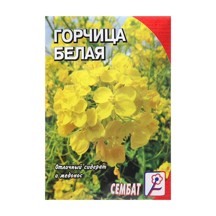 ������� ������ �������