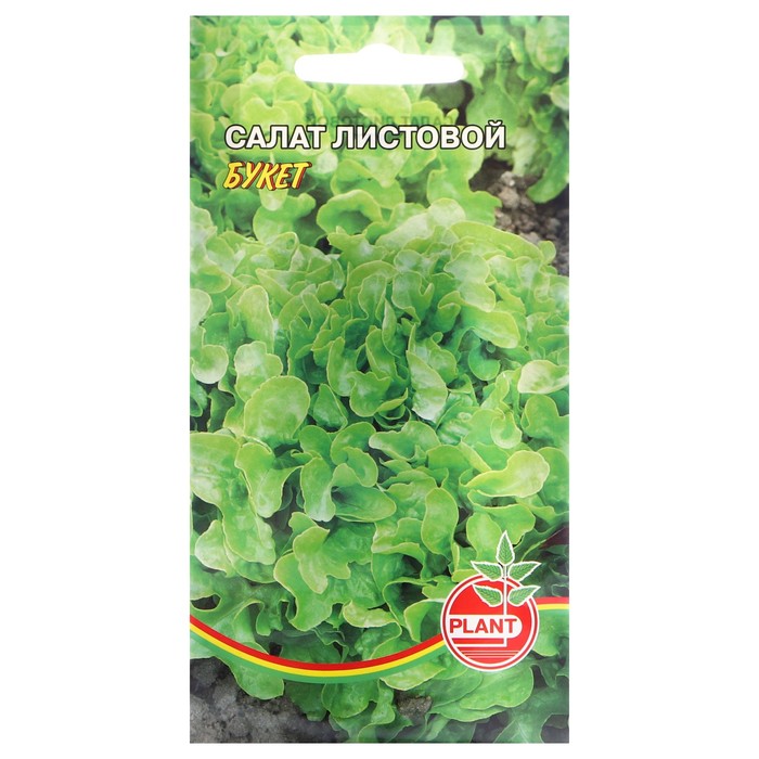 ������� ������ ������