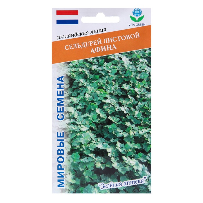 ������� ������ ���������: ����, �����, �����, ��������, ����, �����, ������, �������, �������� ������, ������ ������, ��������