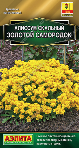 ���������� ��������� ���������! ��������� ����������� ���������������!