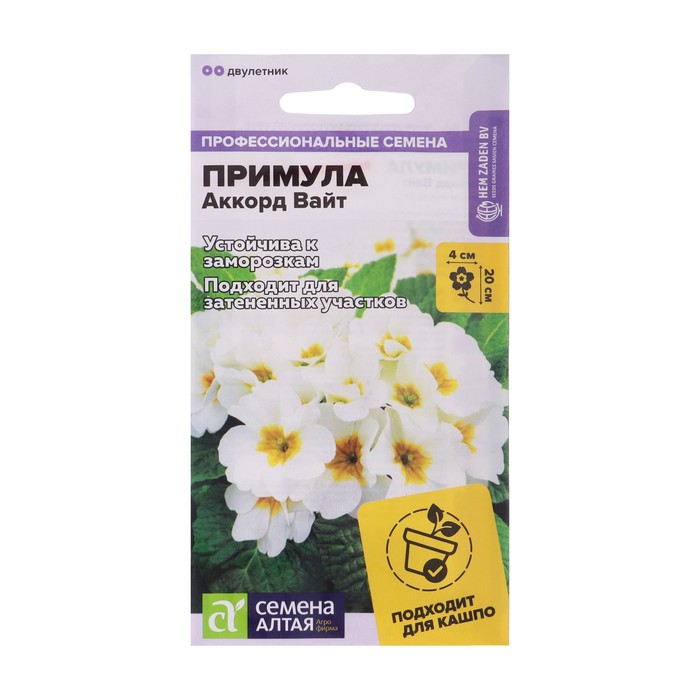 ������� ������ ��������� ������: �����, ��������, �����������, ����������, �����������, ���������, ������, ����-���� (������), �������, ��������, ��������