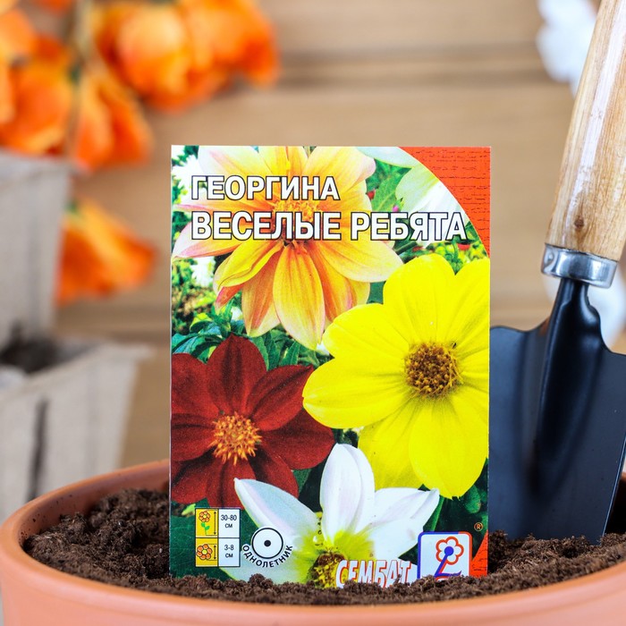 ������� ������ ���������� ������: ��������