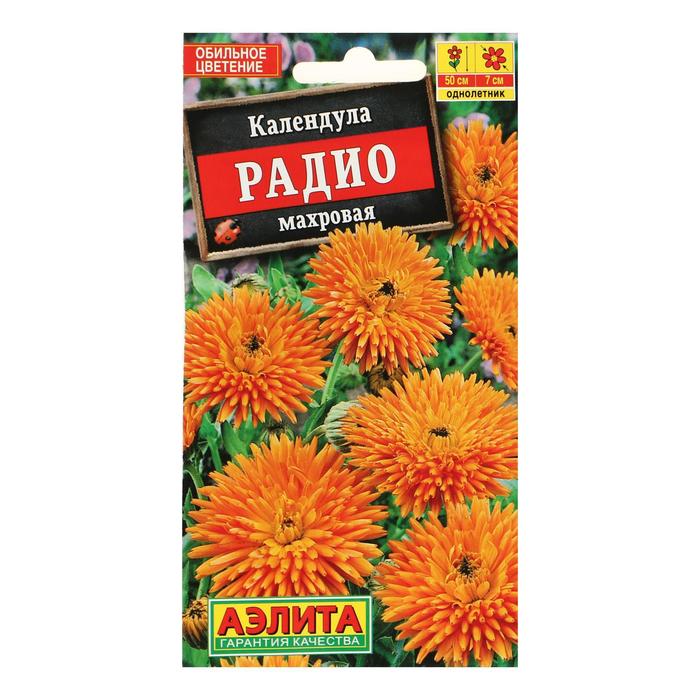 ������� ������ ���������� ������: ���������