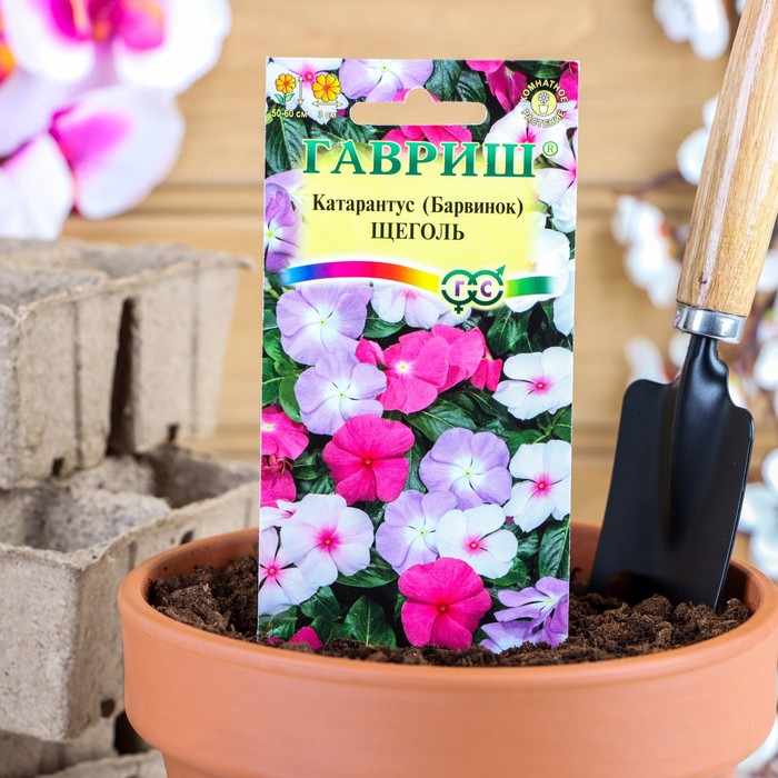 ������� ������ ���������� ������: ����������