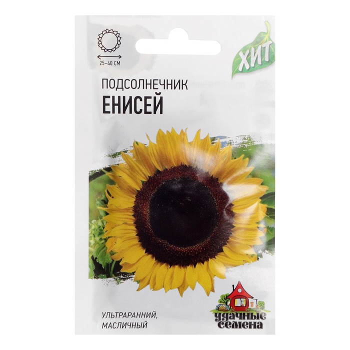 ������� ������ ���������� ������: ������������ ������������