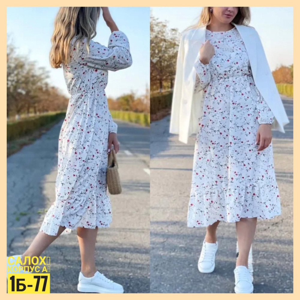 ������� ������ �������