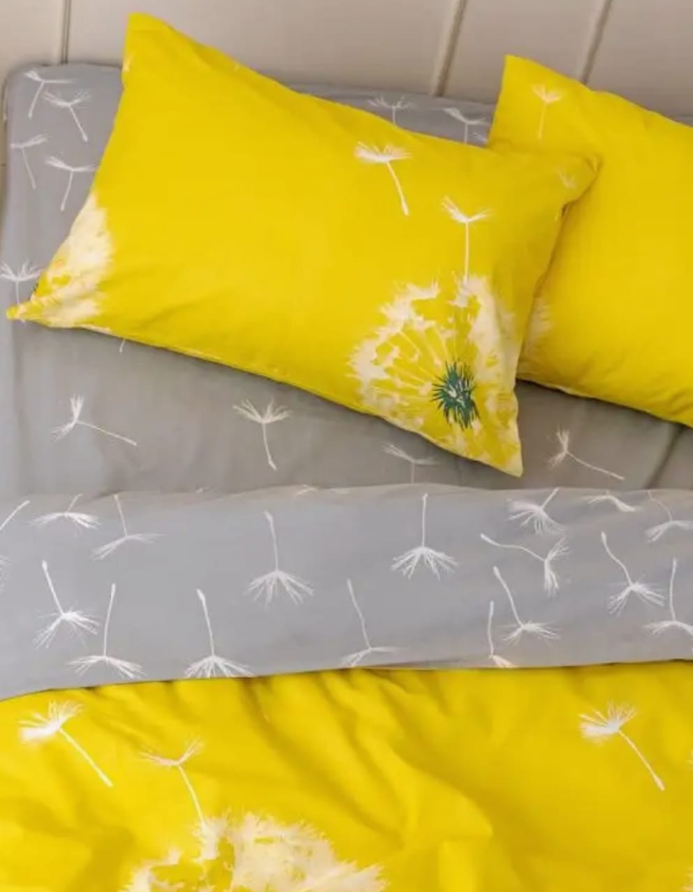 ���� �� 1 ������. ���������� ������ ��� ����������� ����� � ���: ����, ������� � ������ ������ 220 � 150 ��. ������ ����. ���� ��������������� �����.