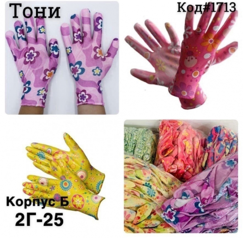 � �������. �������� ������� 1 ����