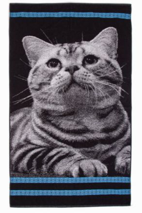 ���������� ���������- ���� ��� � �������!! ��������! �������! ���� �������