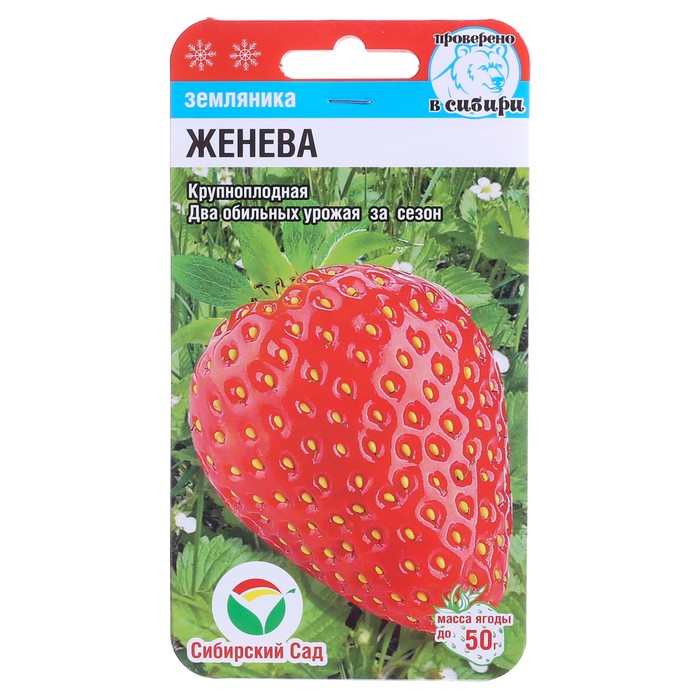 ������� ������ ��������