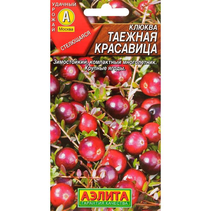 ������� ������ ������