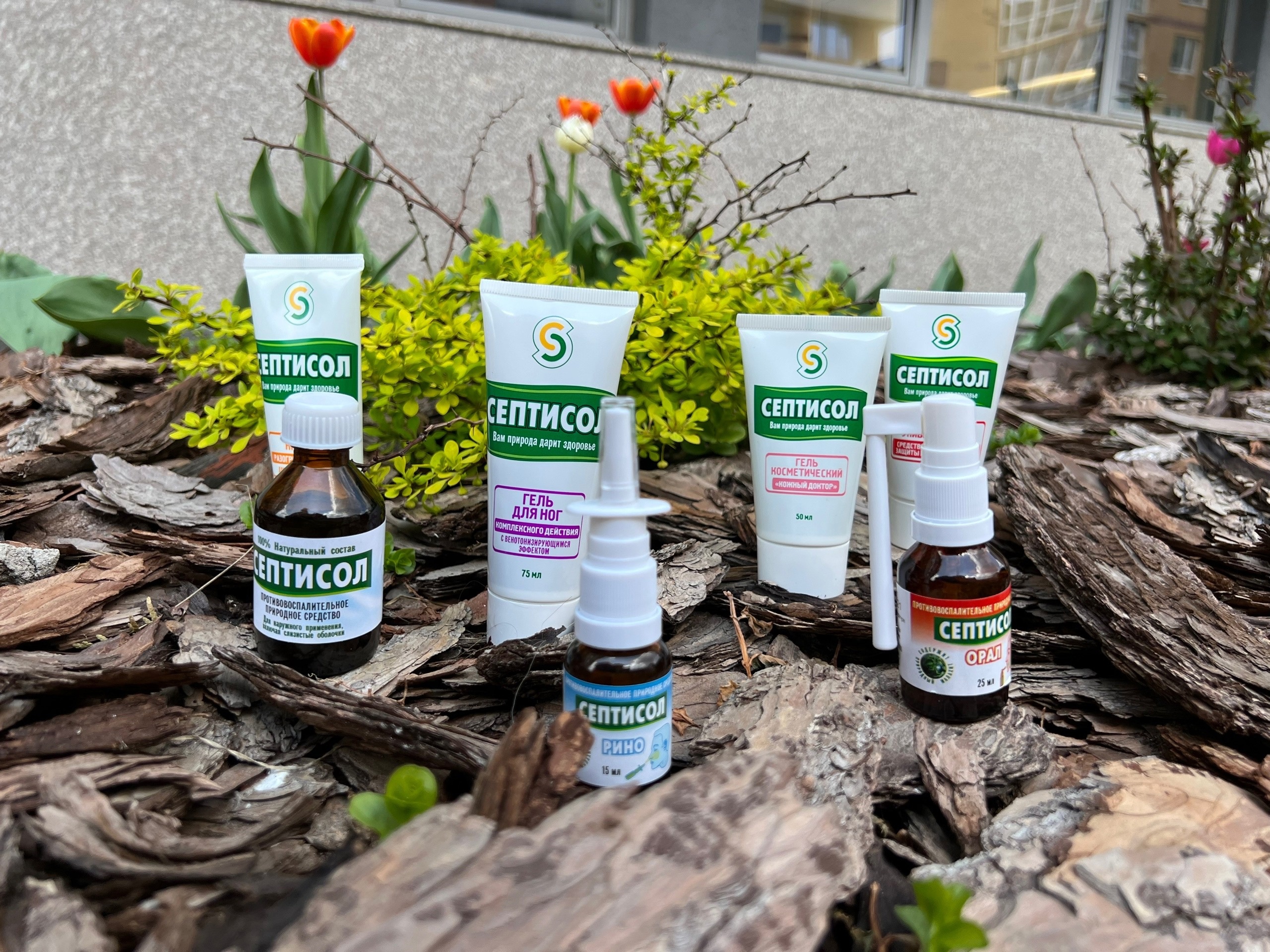 ������� �������!