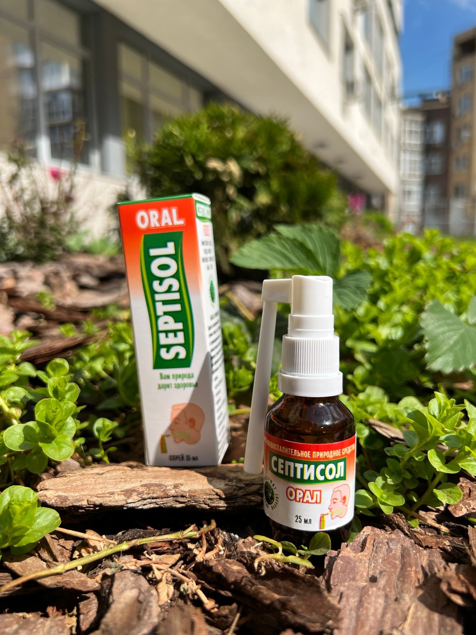 ������� �������!