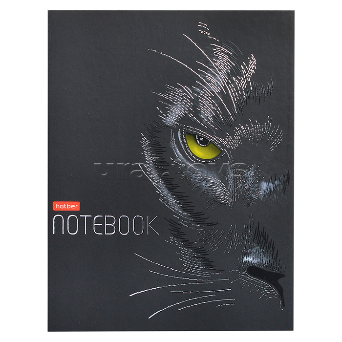 �������� ��� ����� �ޣ��, ��������, ������, ��������