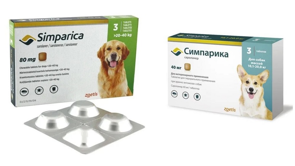 ���������! ���� ��� � �������! ���������! 