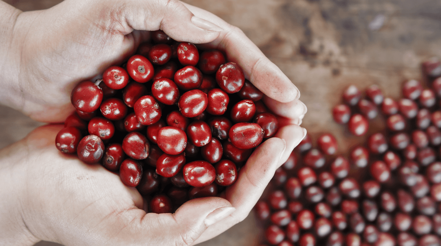 ��� ���������� ��������������� ���� �� ���� �� ������������� ��������?